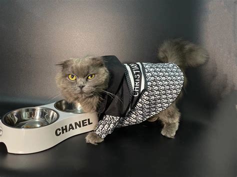 dior dog clothes